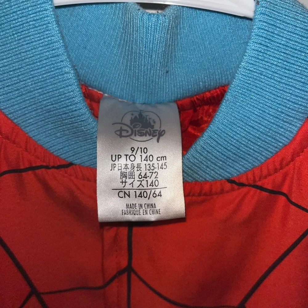 Disney used fair